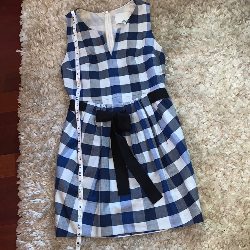 Blue and White Checkered Sleeveless Dress - Picture 10 of 10